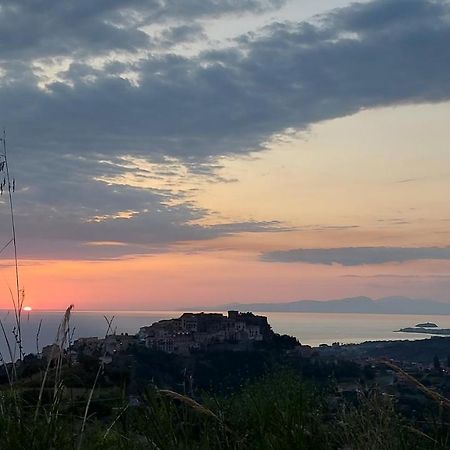 Tenuta Dei Biondi Ulivi B&B Бельведере-Мариттімо Екстер'єр фото