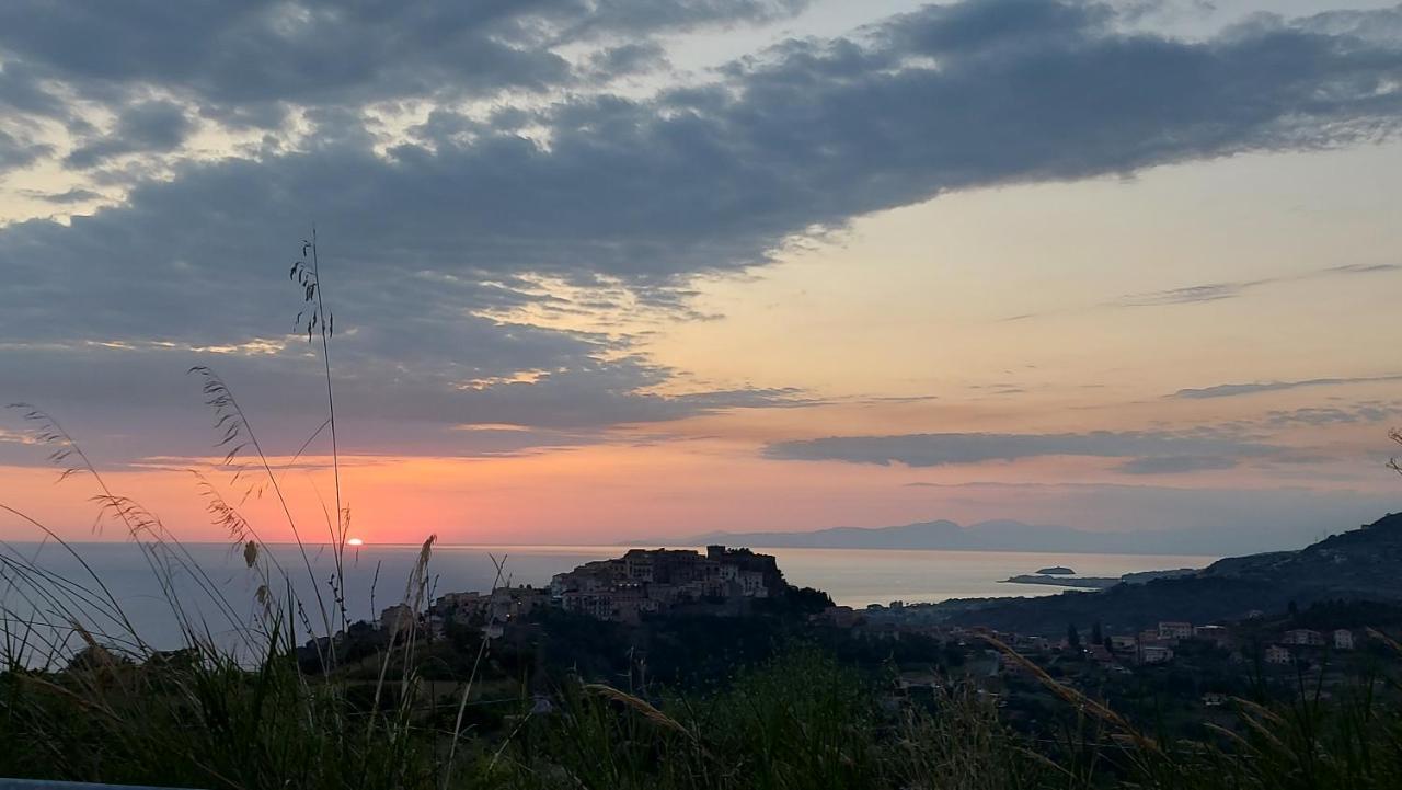 Tenuta Dei Biondi Ulivi B&B Бельведере-Мариттімо Екстер'єр фото